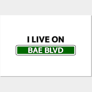 I live on Bae Blvd Posters and Art